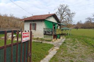 Terreno più rustico