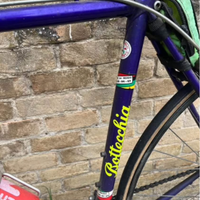 Bicicletta da corsa BOTTECCHIA