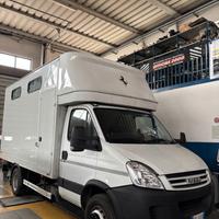 Iveco Daily 65c18 trasporto cavalli