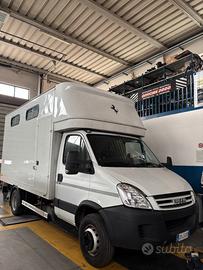 Iveco Daily 65c18 trasporto cavalli