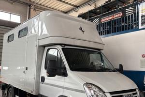 Iveco Daily 65c18 trasporto cavalli