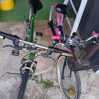 biciclette per ragazzo / ragazza