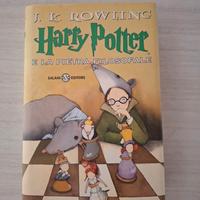 libro Harry Potter 