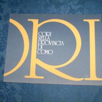 Cori della provincia di como