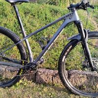 MTB 29  Scott scale 940