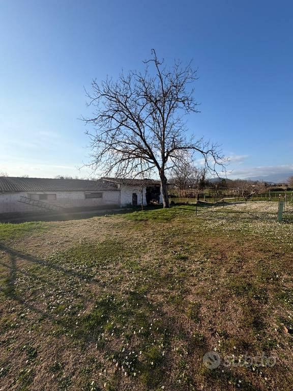 Rustico / Casale di 181 m² con 5 locali a Alatri - Vista 5