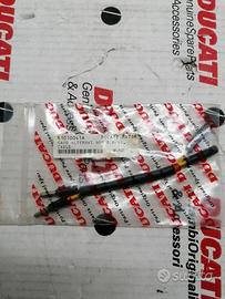 Cavo alternatore per Ducati SS 900 /1993 51010041a