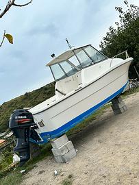 Barca 550 aquabat