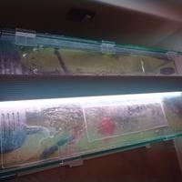 Plafoniera per acquario