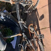 Do in regal bici monomarcia