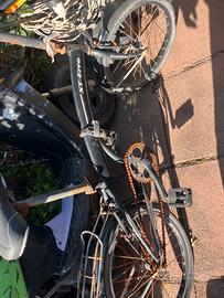 Do in regal bici monomarcia