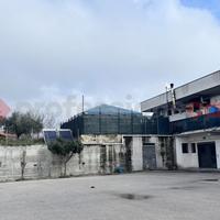 Negozio Alatri [Cod. rif 3295123ACG]