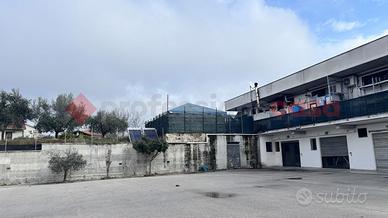 Negozio Alatri [Cod. rif 3295123ACG]