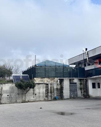 Negozio Alatri [Cod. rif 3295123ACG]