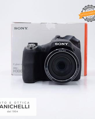 Sony Cybershot DSC-H300 Usato (F1158