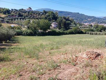 Vendita terreno agricolo