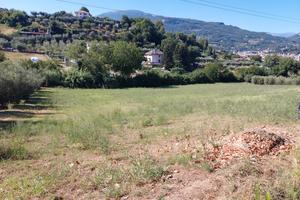 Vendita terreno agricolo