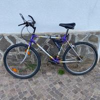 Due Biciclette 26”