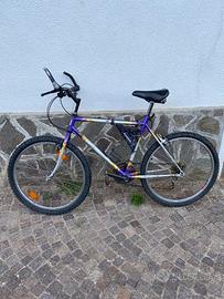 Due Biciclette 26”