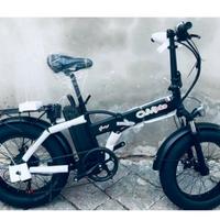 Fat Bike pieghevole 500w 20 pollici schermo digita