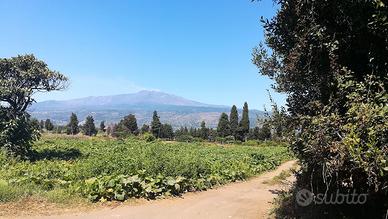 Terreni a Fiumefreddo di Sicilia (CT)