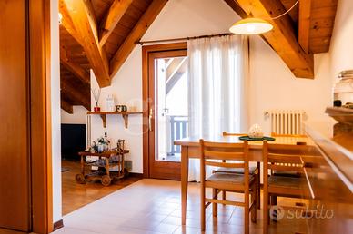 Appartamento Belluno [BL-12VRG]