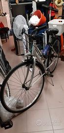 Bicicletta Frejus