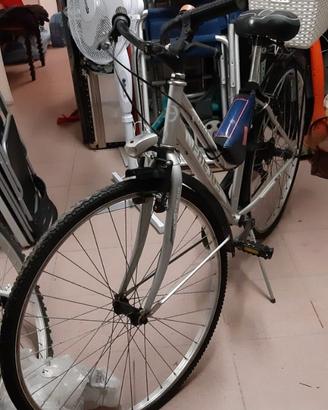 Bicicletta Frejus