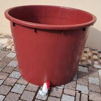 tino in plastica per uva