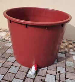 tino in plastica per uva