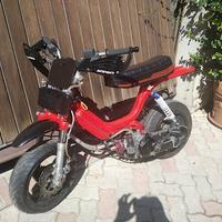 Minimoto minarelli orizzontale su Piaggio Bravo