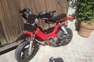 Minimoto minarelli orizzontale su Piaggio Bravo