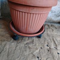 vaso di plastica 