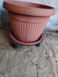 vaso di plastica 
