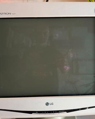 LG Flatron F900P