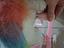 Immagine 4