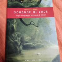 SCHEGGE DI LUCE
