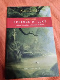 SCHEGGE DI LUCE
