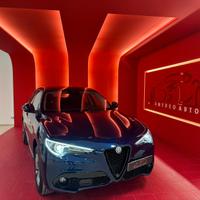 Alfa Romeo Stelvio 2.2 Turbodiesel 180 CV AT8 Q4 E