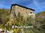 Immagine 7