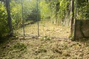 Terreno ex frutteto di kiwi