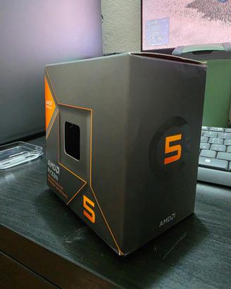 Ryzen 5 8600g 