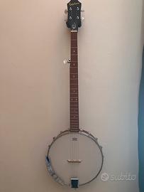 Chitarra Banjo Epiphone