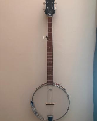 Chitarra Banjo Epiphone