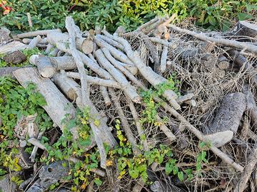 legna da ardere secca mista