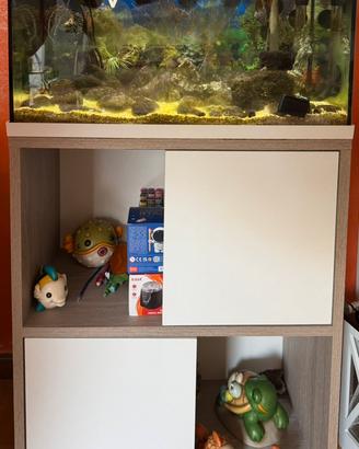 Acquario completo cone da foto da 60l