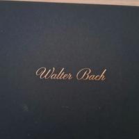 orologio automatico, Walter Bach