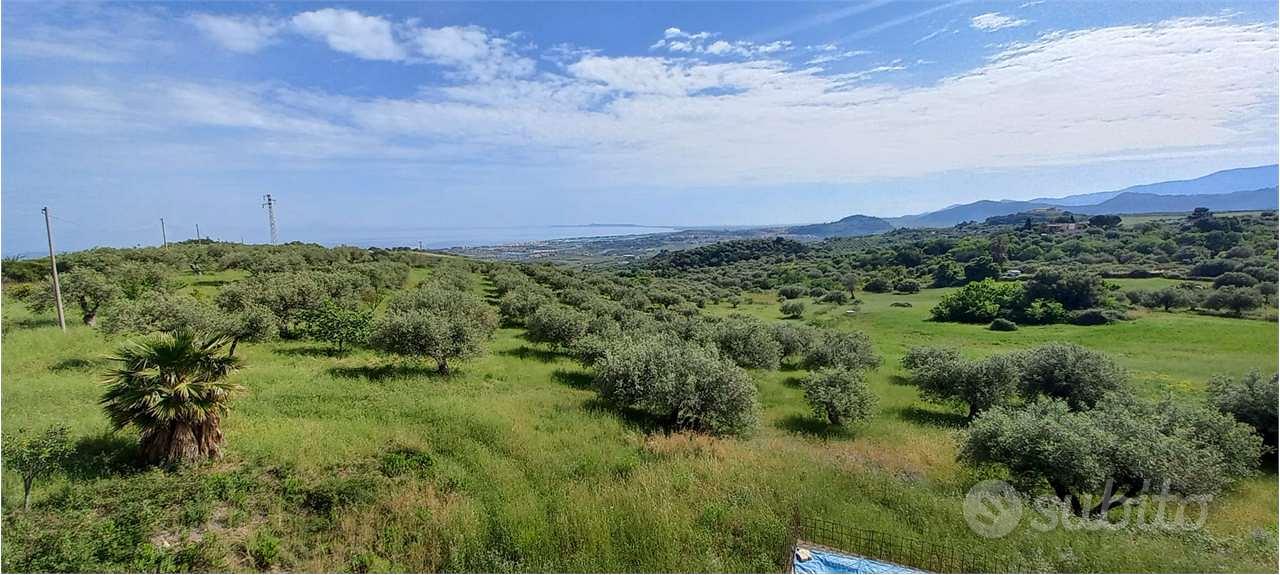Terreno con Ulivi produttivi e antico Palmento - Altro