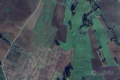 Terreno agricolo più orto frutteto con fabbricato