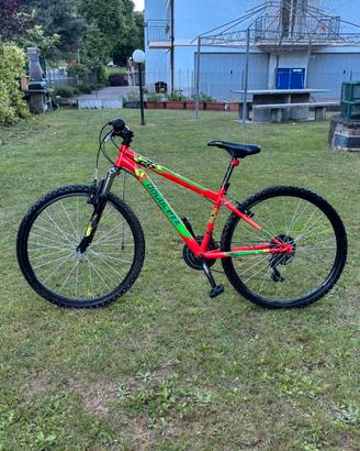 Bici 26